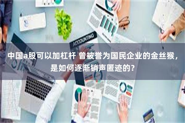 中国a股可以加杠杆 曾被誉为国民企业的金丝猴，是如何逐渐销声匿迹的？