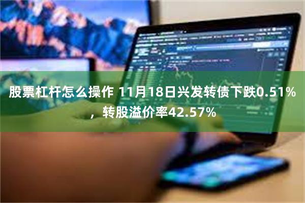 股票杠杆怎么操作 11月18日兴发转债下跌0.51%，转股溢价率42.57%