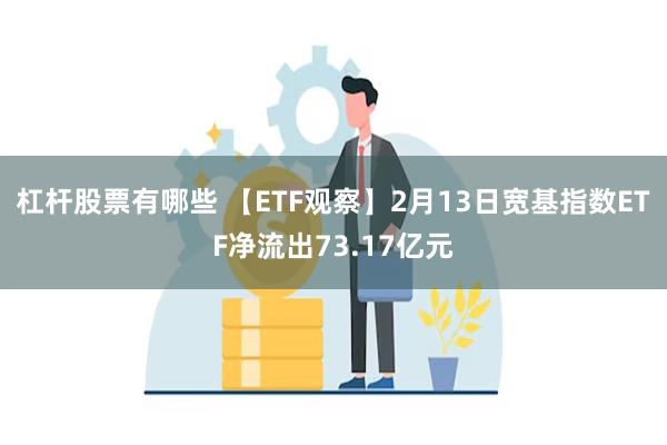 杠杆股票有哪些 【ETF观察】2月13日宽基指数ETF净流出73.17亿元