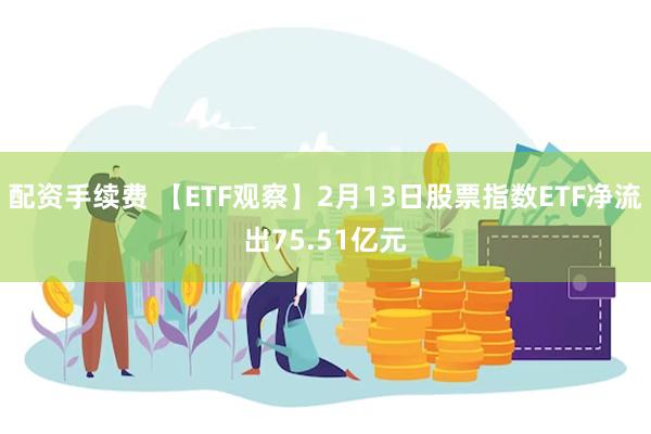 配资手续费 【ETF观察】2月13日股票指数ETF净流出75.51亿元