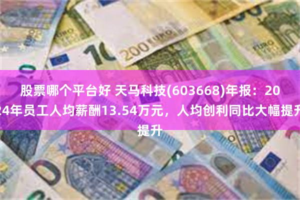 股票哪个平台好 天马科技(603668)年报：2024年员工人均薪酬13.54万元，人均创利同比大幅提升
