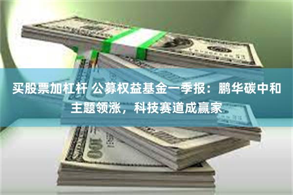 买股票加杠杆 公募权益基金一季报：鹏华碳中和主题领涨，科技赛道成赢家
