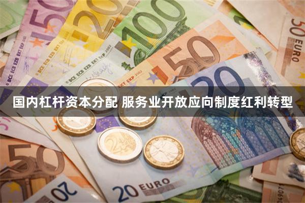 国内杠杆资本分配 服务业开放应向制度红利转型