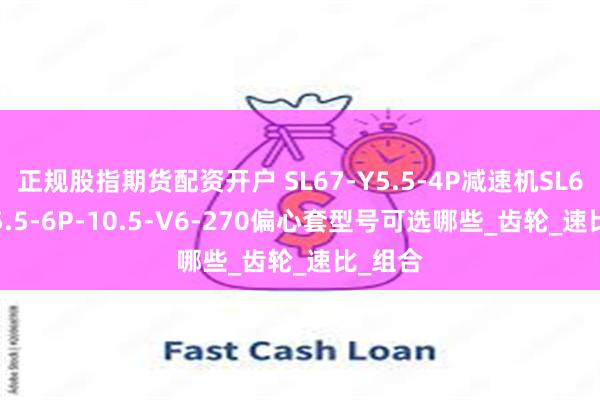 正规股指期货配资开户 SL67-Y5.5-4P减速机SL67-ME5.5-6P-10.5-V6-270偏心套型号可选哪些_齿轮_速比_组合