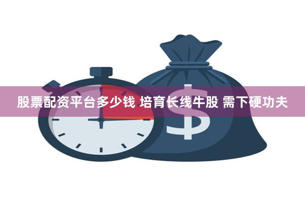 股票配资平台多少钱 培育长线牛股 需下硬功夫