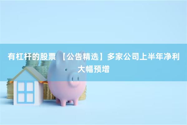 有杠杆的股票 【公告精选】多家公司上半年净利大幅预增