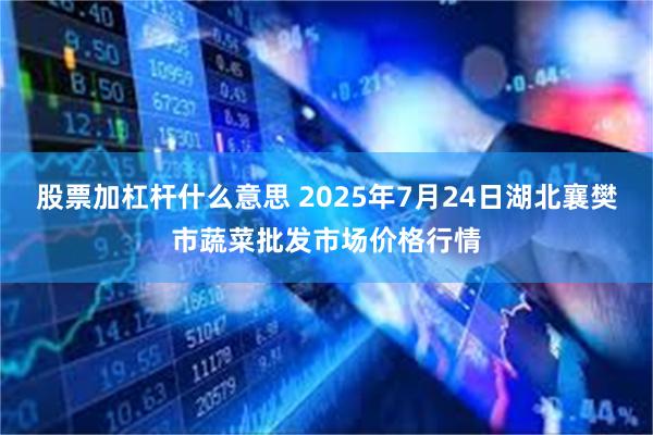 股票加杠杆什么意思 2025年7月24日湖北襄樊市蔬菜批发市场价格行情