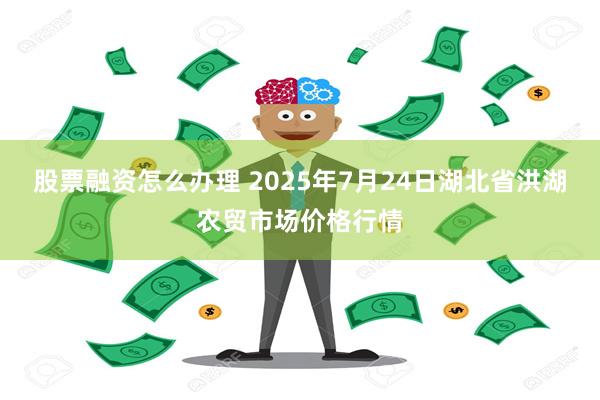 股票融资怎么办理 2025年7月24日湖北省洪湖农贸市场价格行情