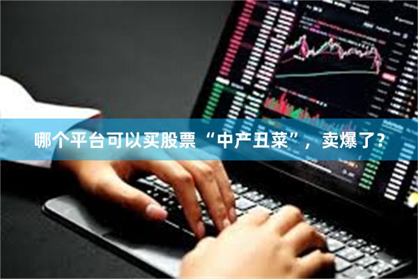 哪个平台可以买股票 “中产丑菜”，卖爆了？
