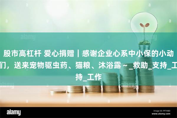 股市高杠杆 爱心捐赠｜感谢企业心系中小保的小动物们，送来宠物驱虫药、猫粮、沐浴露～_救助_支持_工作