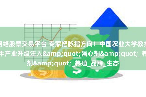 网络股票交易平台 专家把脉指方向！中国农业大学教授杨富裕为关岭牛产业升级注入&quot;强心剂&quot;_养殖_品牌_生态