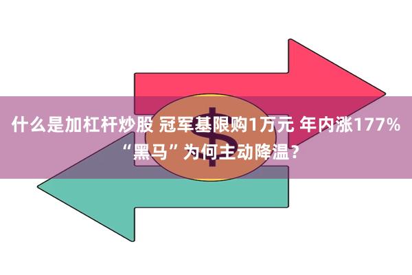 什么是加杠杆炒股 冠军基限购1万元 年内涨177% “黑马”为何主动降温？