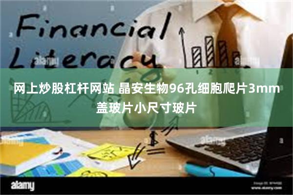 网上炒股杠杆网站 晶安生物96孔细胞爬片3mm盖玻片小尺寸玻片